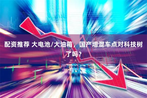 配资推荐 大电池/大油箱，国产增混车点对科技树了吗？