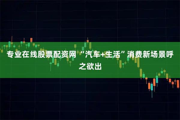 专业在线股票配资网 “汽车+生活”消费新场景呼之欲出